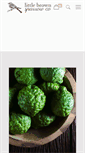 Mobile Screenshot of littlebrownsparrowco.com